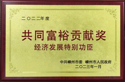 2022年度共同富裕貢獻獎積極發(fā)展特別功臣