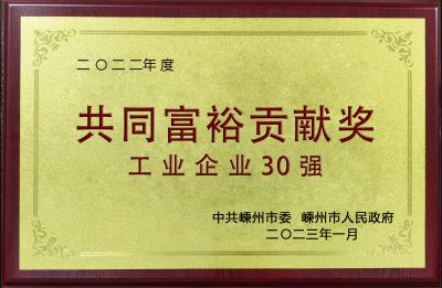 2022年度共同富裕貢獻獎工業(yè)企業(yè)30強